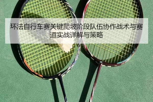 环法自行车赛关键爬坡阶段队伍协作战术与赛道实战详解与策略