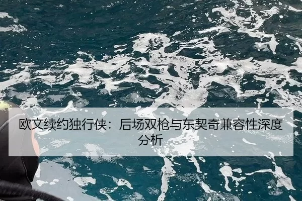 ou-wen-xu-yue-du-xing-xia-hou-chang-shuang-qiang-yu-dong-qi-qi-jian-rong-xing-shen-du-fen-xi-2-747.jpg